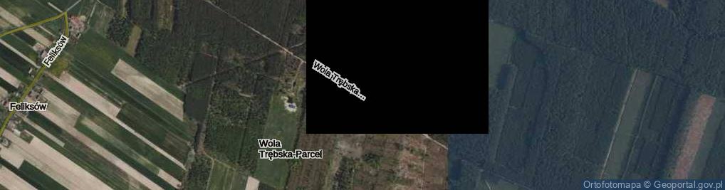 Zdjęcie satelitarne Wola Trębska-Parcel ul.